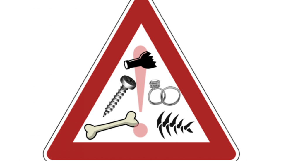 Importance of controlling foreign matter in food production Nuno F. Soares Article