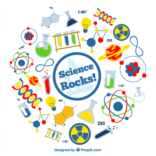 Good Manufacturing Practices: Scientific please Nuno F. Soares Article