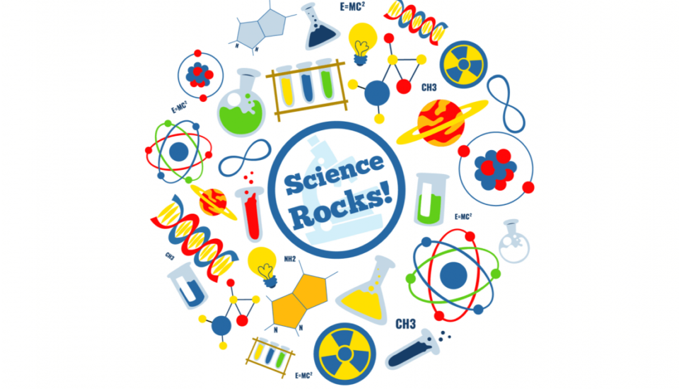 Good Manufacturing Practices: Scientific please Nuno F. Soares Article