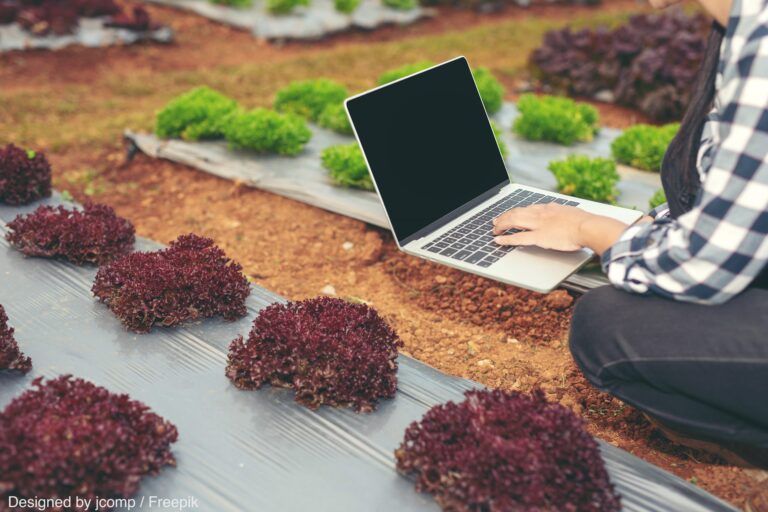 Food Safety – An Investment In Saving Human Lives Nuno F. Soares Article