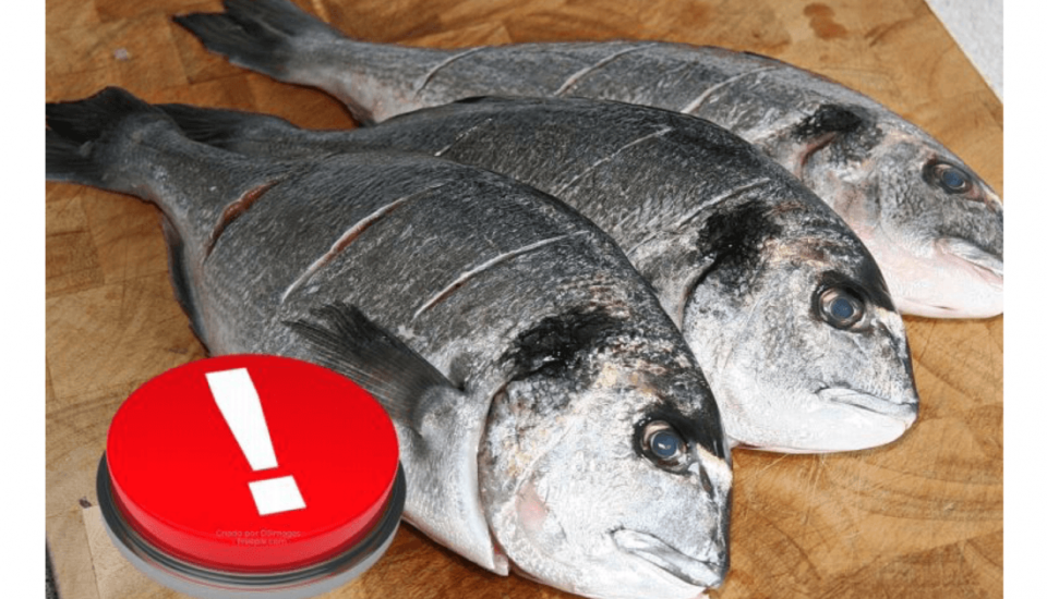 Product recall in food industry Nuno F. Soares Article