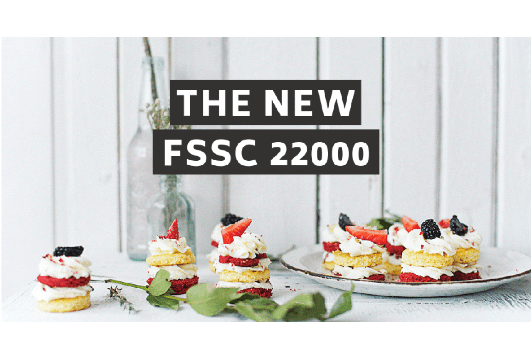 FSSC22000-V5-First-impressions-picture