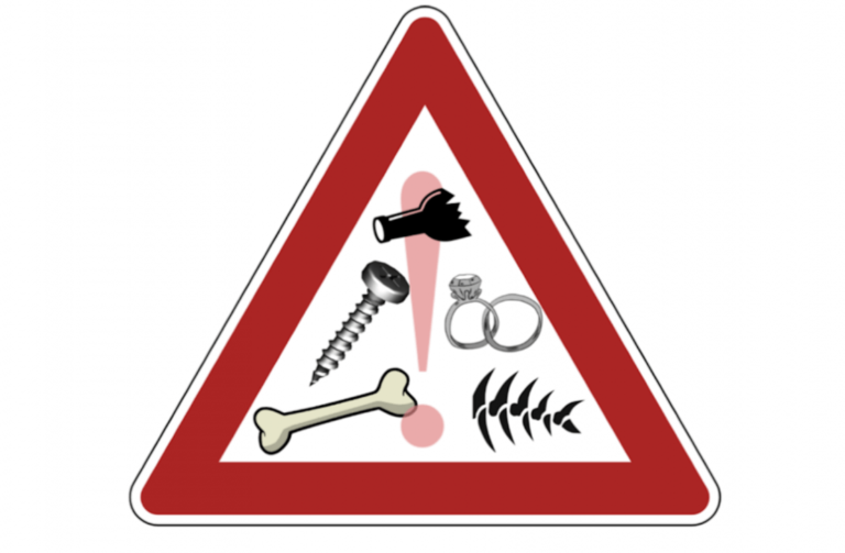 Importance of controlling foreign matter in food production Nuno F. Soares Article