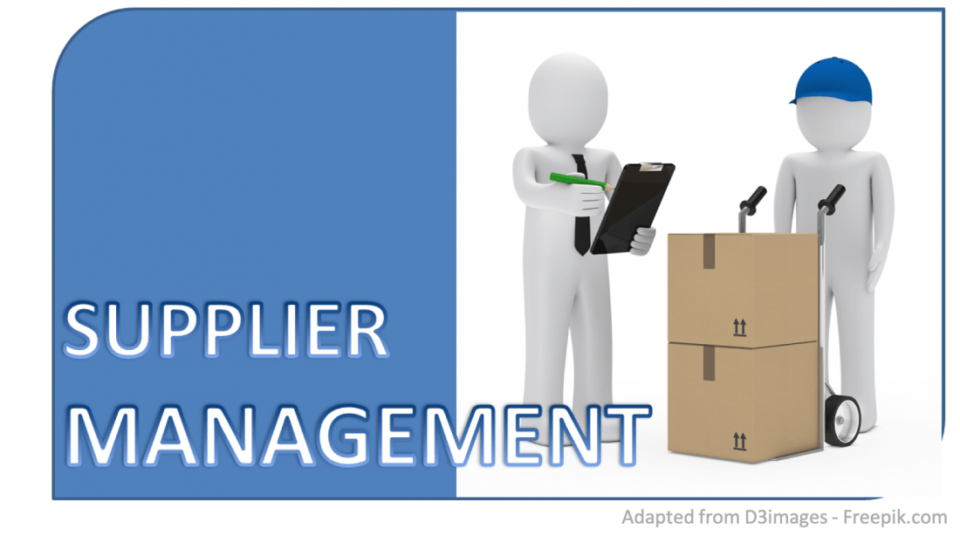 Supplier management process: how to build it Nuno F. Soares article